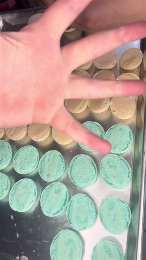 Ignore my laugh lol #brothersister #macarons #bakingfun #fypシ #funnyvideos