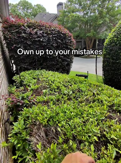 Landscaper Admits Trimming Mistake & Offers Replacement