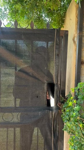 Food network Crafting (@foodyconcept)’s videos with original sound - Food network Crafting