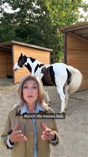 Built to move with you. Palouse shelters are fully portable and ready to tow. 👉 Start your quote today | Palouse Ranches