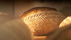 Sourdough Bread Baking Temperature Celsius – Your Optimal Temp Guide | My Daily Sourdough Bread