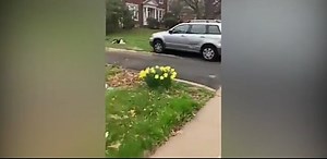 NJ Driver Runs Over Woman With His SUV Three Times; The Terrifying Moment Caught On Camera