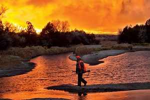 Petersen's Hunting Expert Picks the 10 Best Public Land Hunts - Petersen's Hunting