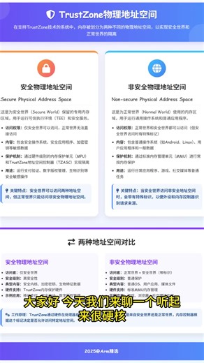 008-TrustZone中存在哪两种物理地址空间？