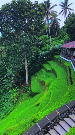 Beautiful Land with Terraced Rice Field View for Sale in Tegallalang, Gianyar