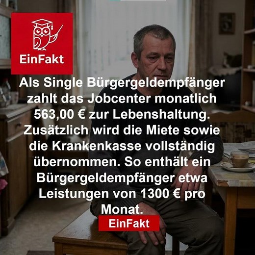 Wie viel Geld bekommt man wirklich? 💶📊 | Bürgergeld für Singles im Check | EinFakt
