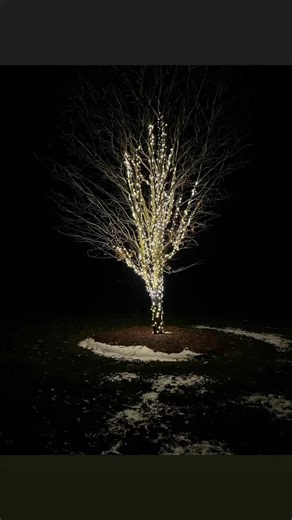 Edison Landscape & Deck Lighting LLC on Reels | Facebook