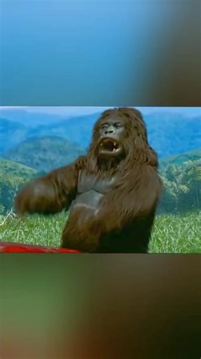 No problem comedy scene #shorts #bollywood #comedy