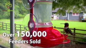 Large Leak Proof Window Hummingbird Feeders for Outdoors Hanging - Wasp and Bee Proof - Window Hummingbird Feeder for Outdoor - Window Mount