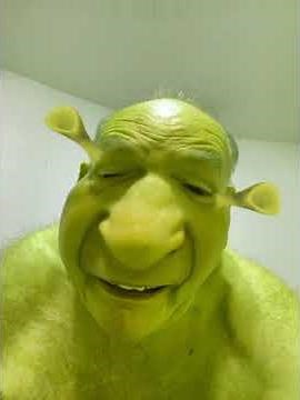 Shrek. That’ll do donkey that’ll do. Quit complaining and get ready for the party all weekend long.