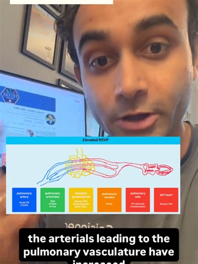 explaining the causes of pulmonary hypertension in under 60 seconds #STEM #stemtok #pulmonaryhypertension