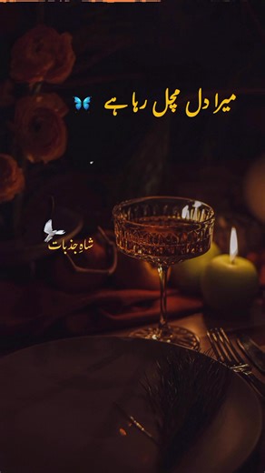 Exploring Urdu Poetry: Insights and Quotes