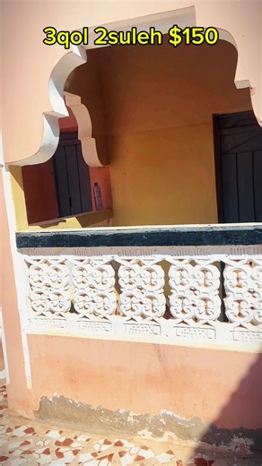 Magool Real Estate: Curiosidades y Contacto