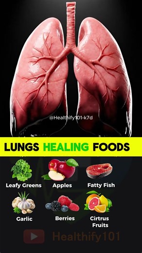 Foods That Support Lung Cleaning | Lung Disease | Lung Recovery Animation
