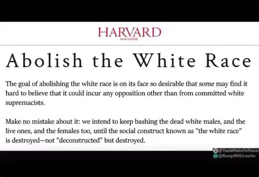 ☣️ Lenin's LaundrySocialism's Dirty Little SecretTwo facts about Lenin's linens:Divide a target nation by arming minorities with socialist ideology. Once successfully in power, handlers enslave that hapless ethnic group.⚒️ The oldest Marxist formula employs a defeated ethnic group as ammunition against Freedom-Loving Producers. Socialist statecraft strategy is quite simple. Natural enemies to the Producer class are able to internally destroy their own nation with rot when provided victim indoctr
