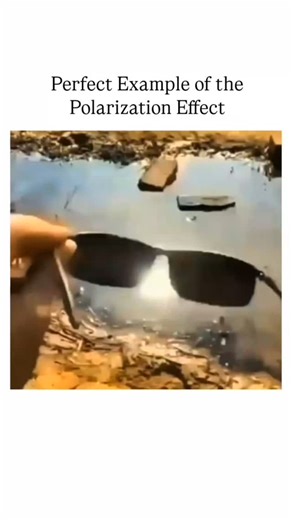 Science on Instagram: "Ever wondered how polarized sunglasses block glare or how scientists control light waves? 🌈 This clip perfectly demonstrates the polarization effect, showing how light waves align in a single direction when passed through a polarizing filter. A simple yet mind-blowing example of how physics shapes what we see every day! ⚡👁️ . . . #PolarizationEffect #LightWaves #PhysicsInAction #ScienceExplained #Optics #ScienceFacts #ScienceReel #EducationalVideo #PhysicsExperiment #Lig