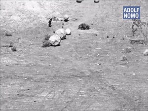 1.2M views · 10K reactions | True life situation music "Nomwatalombozya"  976955884 | Foster Halyz Zambia | Facebook