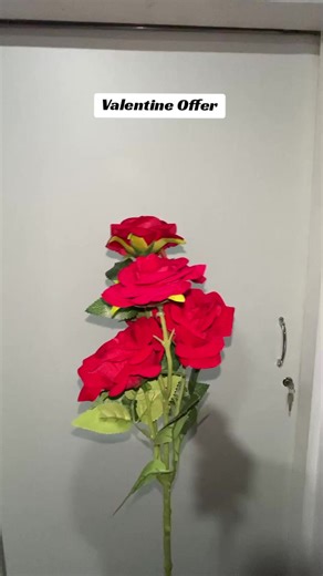 Valentine's Day Theme Shoot Special Offer