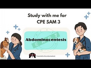 Abdominocentesis in dogs made easy!