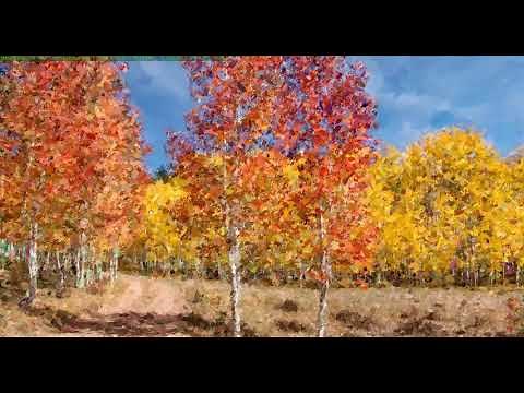 Basic use of Fotosketcher