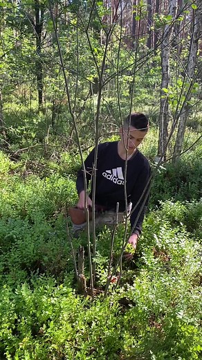 #ягоди #тинненські😎 #леви #рівенські😎