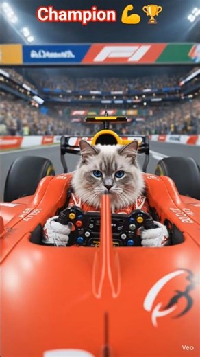 Champion 💪🏆😎#shorts #cockatiel #cute#animals #funny