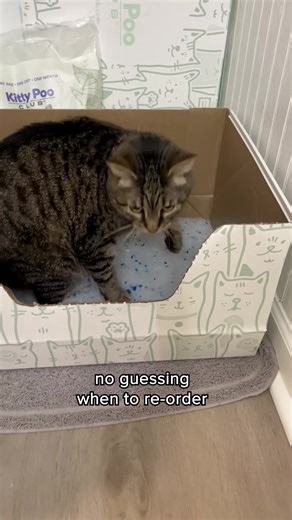 2.7K views · 19 reactions | Tired of dealing with messy, smelly...