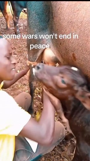 56K views · 196 reactions | Hybo | Lloyd Resoro | Facebook