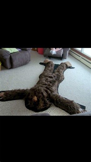 Dad, did you hear that sound outside last night? #bigfoot