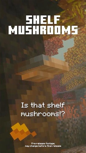 TRY NEW BIOME + NEW FEATURES!