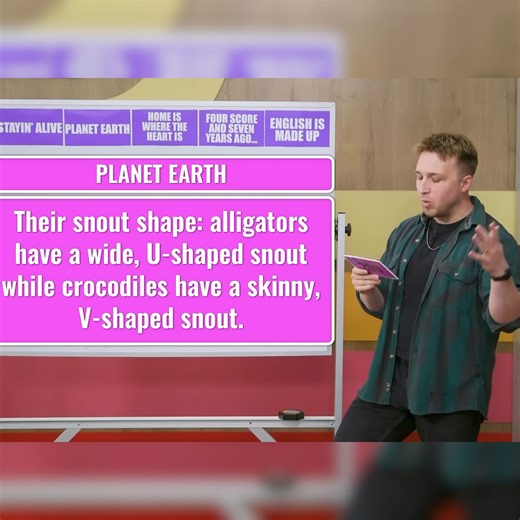 1M views · 30K reactions | Alligators vs Crocodiles… who knows the difference?  | Smosh | Facebook