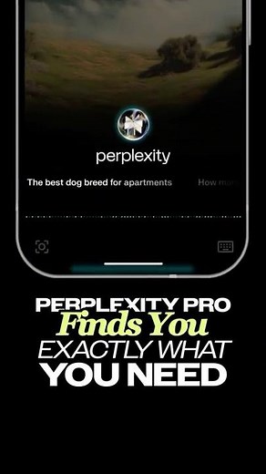 What is Perplexity Pro? 🤓
