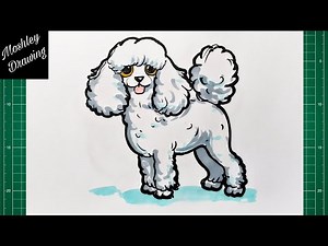 How to Draw a Poodle Dog Step by Step