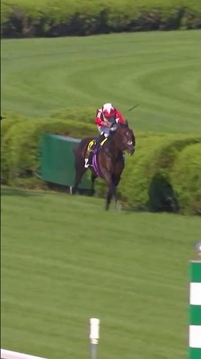 GLACIUS Wins the G1 Saratoga Derby for British Trainer Hugo Palmer!
