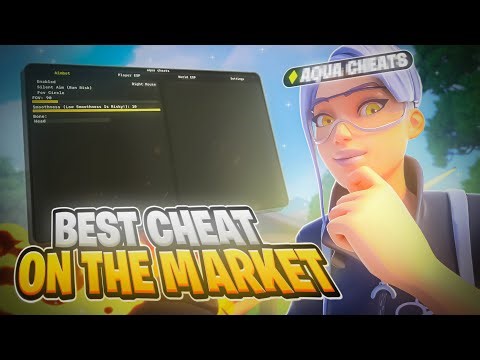 I Used Fortnite Cheats For 24 Hours... (The Results Are INSANE)