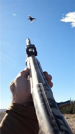 Was This Pheasant TOO CLOSE?! #hunting #birdhunting #birds