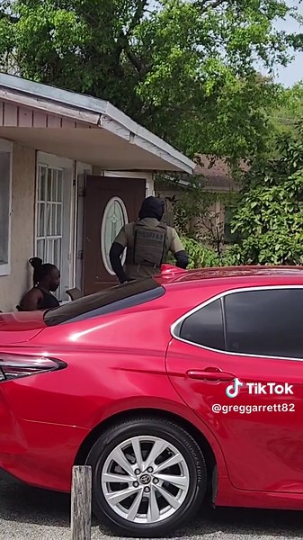 Fly Guy (@greggarrett82)’s videos with original sound - Fly Guy