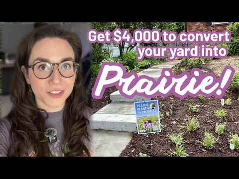 Suburban Prairie: Transforming my St. Louis Yard into a Wildlife Oasis
