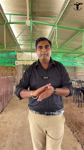 Micro Irrigation | Goat Farming https://youtu.be/VWvM6jRM6aA?si=qnBxEAiIse3N_If0 #microirrigation #goatfarming #goatfarm #goats #farming | Instagram