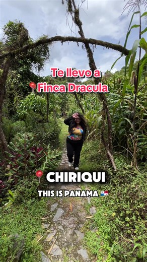 Descubre Finca Drácula en Cerro Punta, Panamá