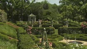 Tips For Rose Care There are several things that are particularly important in rose are. And they’re not that difficult. To learn more click here for an informative video. | GardenSMART | Facebook