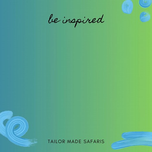 3 comments |  Eastern Cape Escapes The Eastern Cape coastline is...