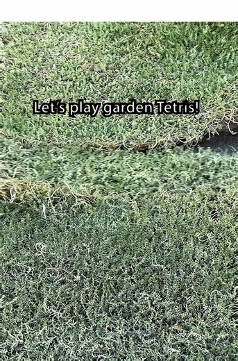 Satisfying to watch,even easier to do.The modular garden has landed.🧩🌿 #DryGarden #LowMaintenance #GardenTetris #GardenHacks #Plantron