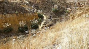 4.2K views · 68 reactions | BlueHawkTactical on Reels | Facebook