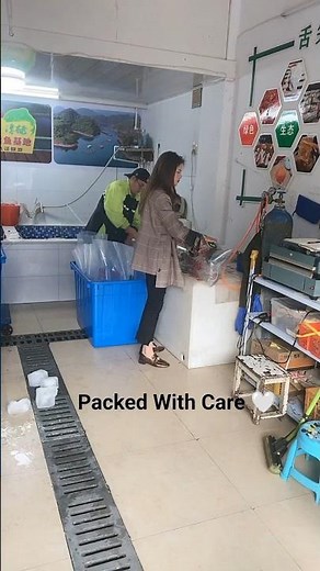 Live Fish Packing Made Simple & Safe.#fishpacking