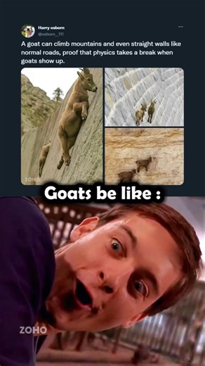 Goat moment 🕷