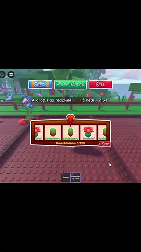 The Dawn seed pack in garden horizons #roblox