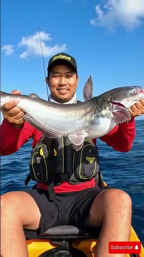 Ocean Fishing Frenzy! 🎣🌊 Massive Fish Caught on Camera!