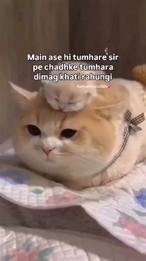 Romantic cuddle on Instagram: "Tag 🏷️ Follow @romanticcuddle for more"