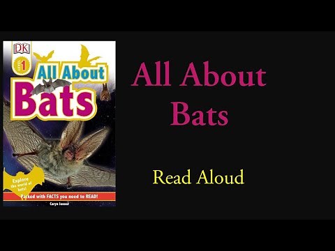 All About Bats - Read Aloud | Caryn Jenner